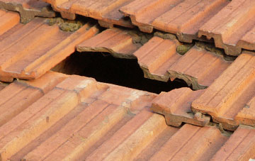 roof repair Rhoswiel, Shropshire